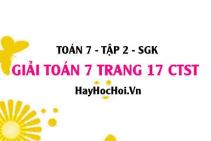 Giải Toán 7 trang 17 tập 2 Chân trời sáng tạo SGK